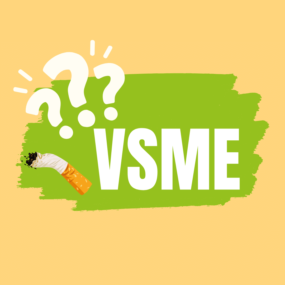 La norme VSME c'est quoi ?