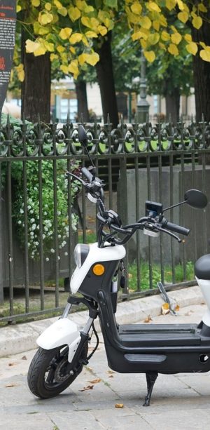collecte vertueuse